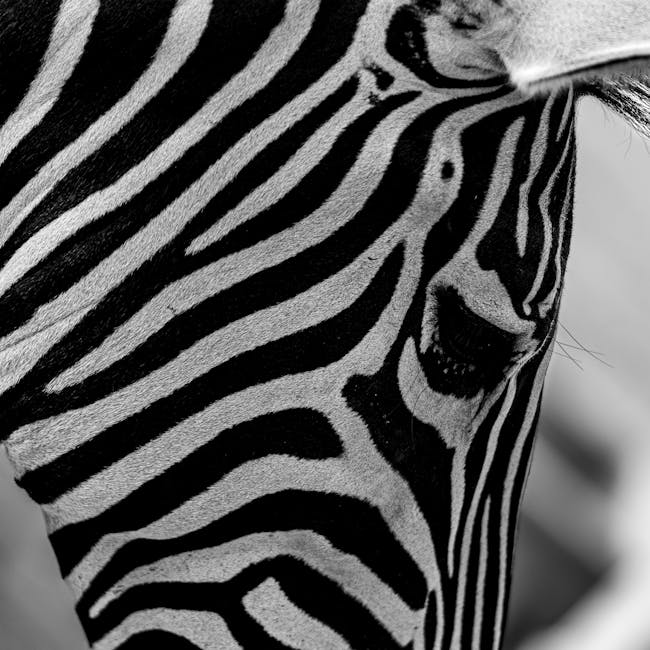 Zebra Mildliner Highlighter Set 15 Colors