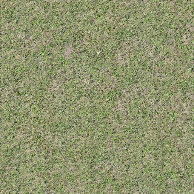 Fresh Ground Holud Gura 1