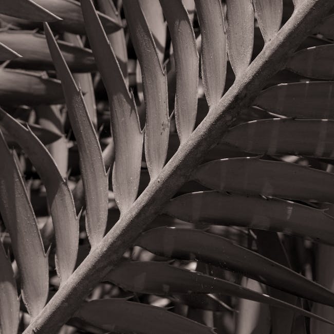 Tal Patha Pankha (Palm Leaf Fan)