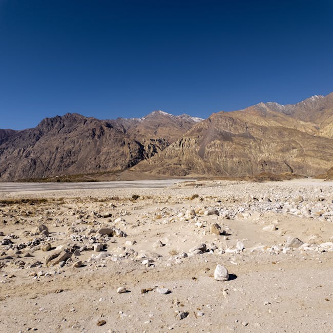 Terracotta Plate Set (Set of 4)