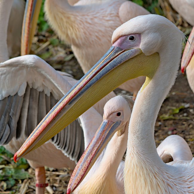 Shitalpati Mat (Large, 6'×8')