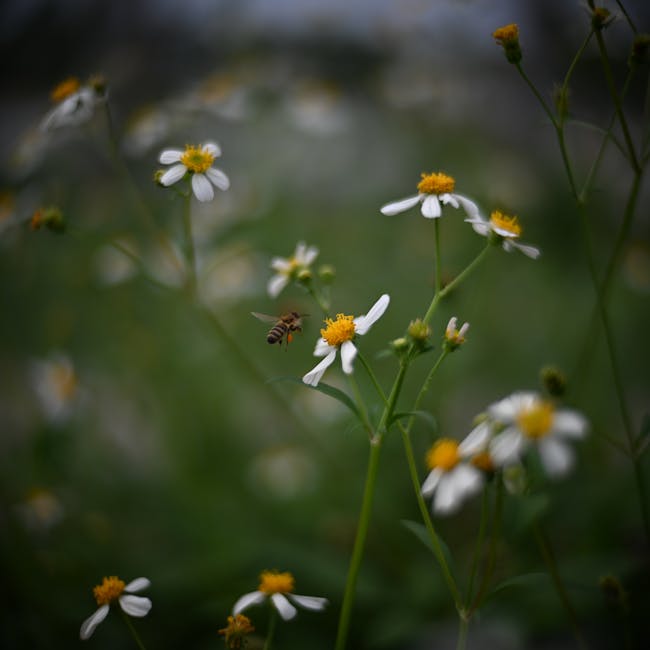 Wild Forest Honey 500g 4