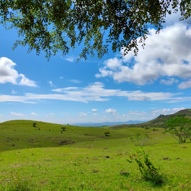 Realme 12 Pro+ 5G 8/256GB