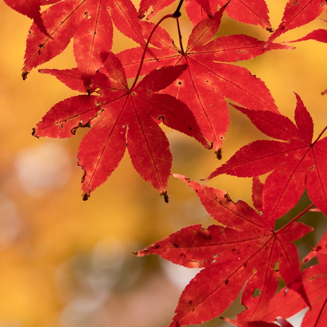 Acer Aspire 5 Core i5-13th Gen 8/512GB SSD 2