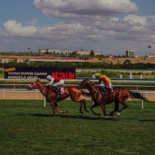 Acer Aspire 5 Core i5-13th Gen 8/512GB SSD 4