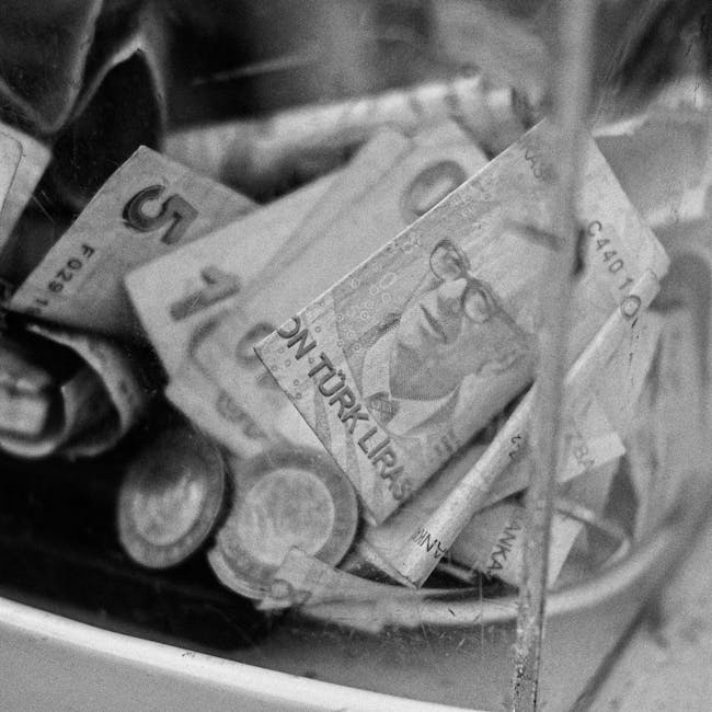 HP 255 G9 AMD Ryzen 5 8/512GB SSD 2