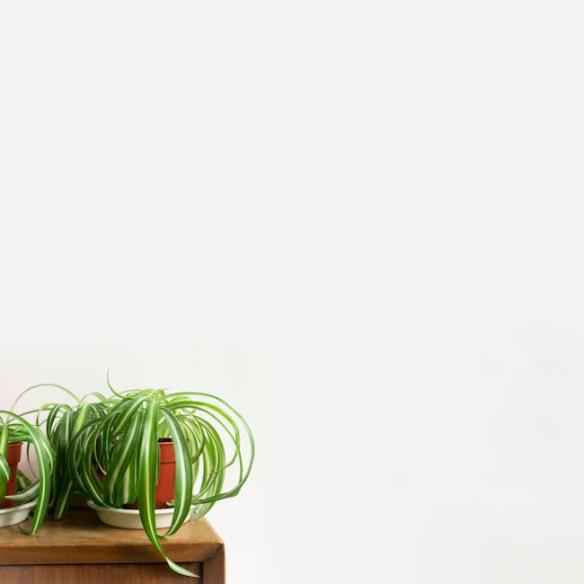 Xiaomi Smart Air Purifier 4 Pro