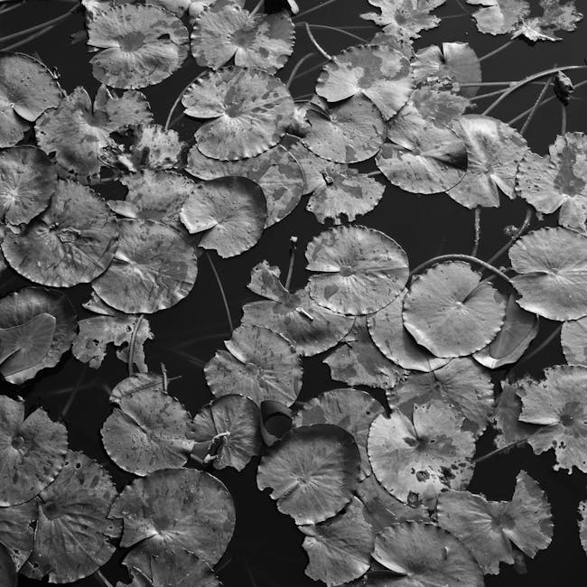 Dahua IP CCTV Camera 4MP PoE (Set of 4) 3