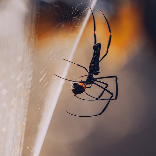 Deshal Katan Silk Shari Red 4