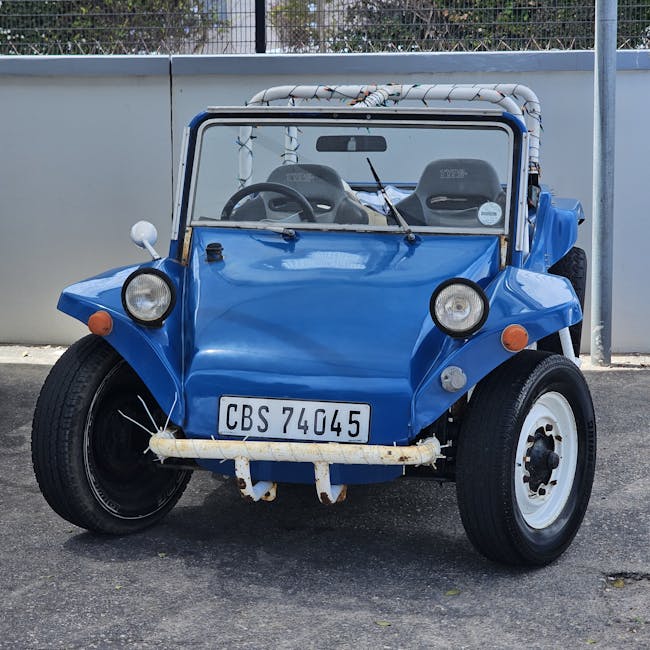 Remote Control Car Buggy Rechargeable 1:16 1