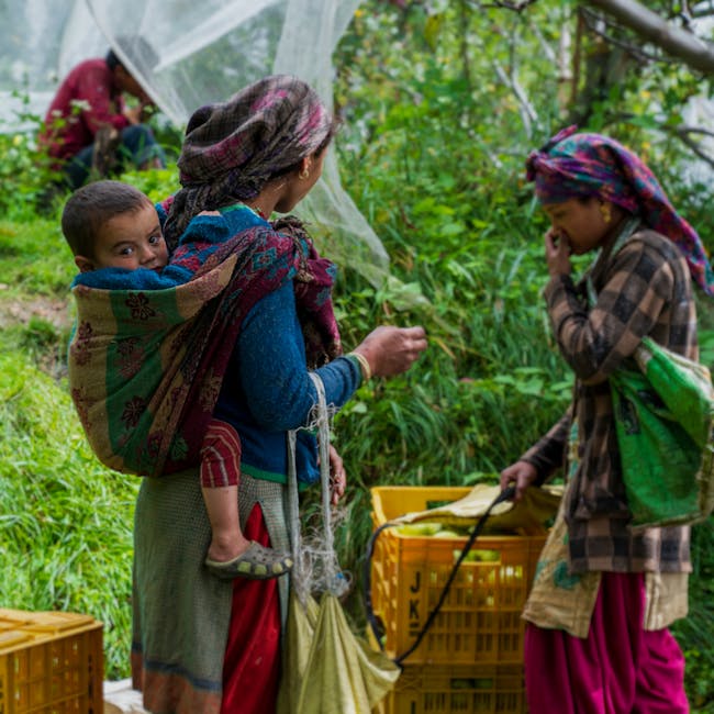 Solimo Vegetable Chopper 850ml Manual 4