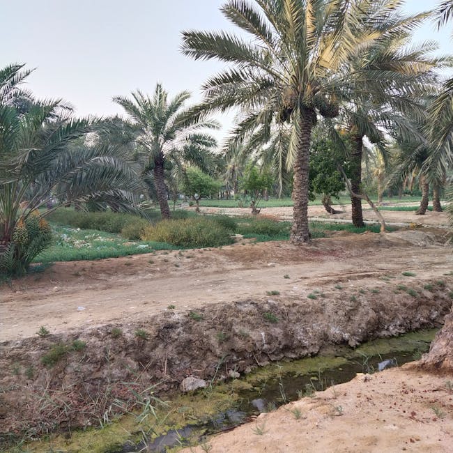 Vivo Y200 Pro 5G 8/128GB