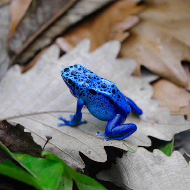 Nerf N-Strike Elite Blaster Toy Gun 6-Dart 1