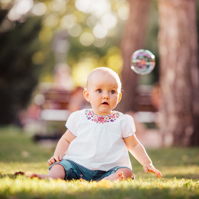 Fisher-Price Infant Bouncer Seat Soothe N Play 4